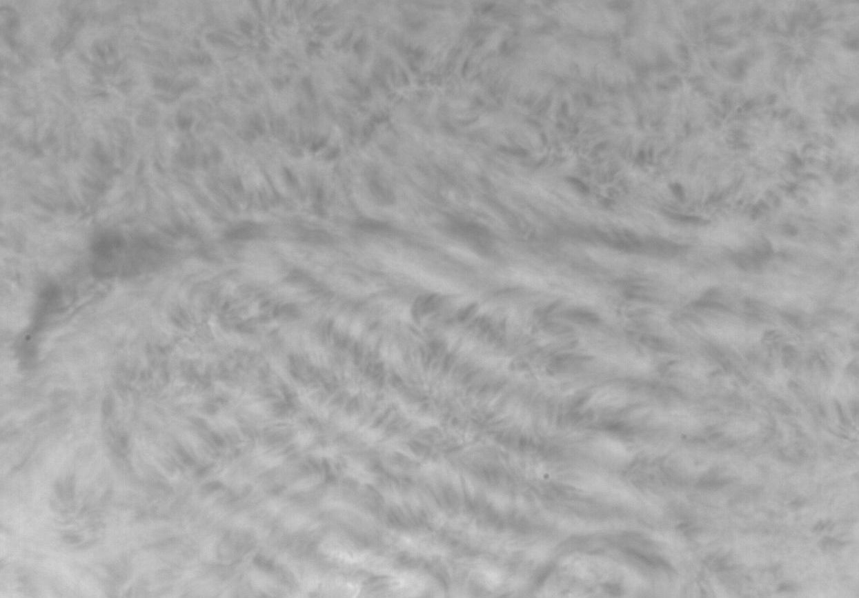 Surface et filament solaire en Hα le 02/07/11 à la TOA 130 + PST & barlow 3 x, image brute