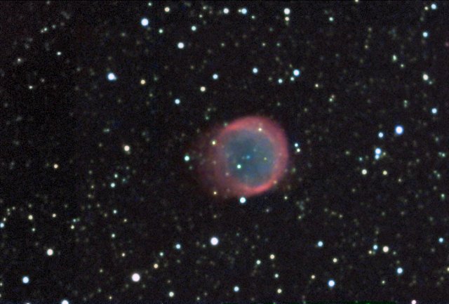 NGC 6781 au foyer du C8